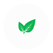 Badge icon "Leaf (1825)" provided by Fellipe Silva, from The Noun Project under Creative Commons - Attribution (CC BY 3.0)