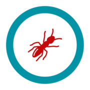 Badge icon "Ant (4744)" provided by Olivier Guin, from The Noun Project under Creative Commons - Attribution (CC BY 3.0)