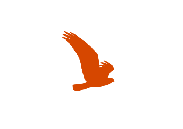 Badge icon "Eagle (2153)" provided by Megan Shrewsbury, from The Noun Project under Creative Commons - Attribution (CC BY 3.0)