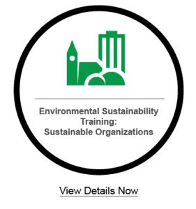 Sustainability Sustainable Organizations Image