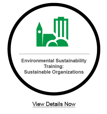 Sustainability Sustainable Organizations Image