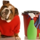 Cleaning Health Hazards for Pets